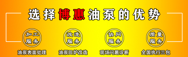 ZYB渣油齒輪油泵(圖3)